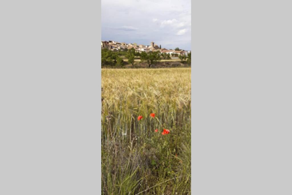 Ca Joan A Villores, Els Ports Esterno foto