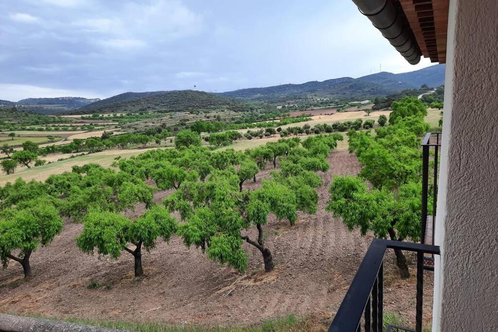 Ca Joan A Villores, Els Ports Esterno foto